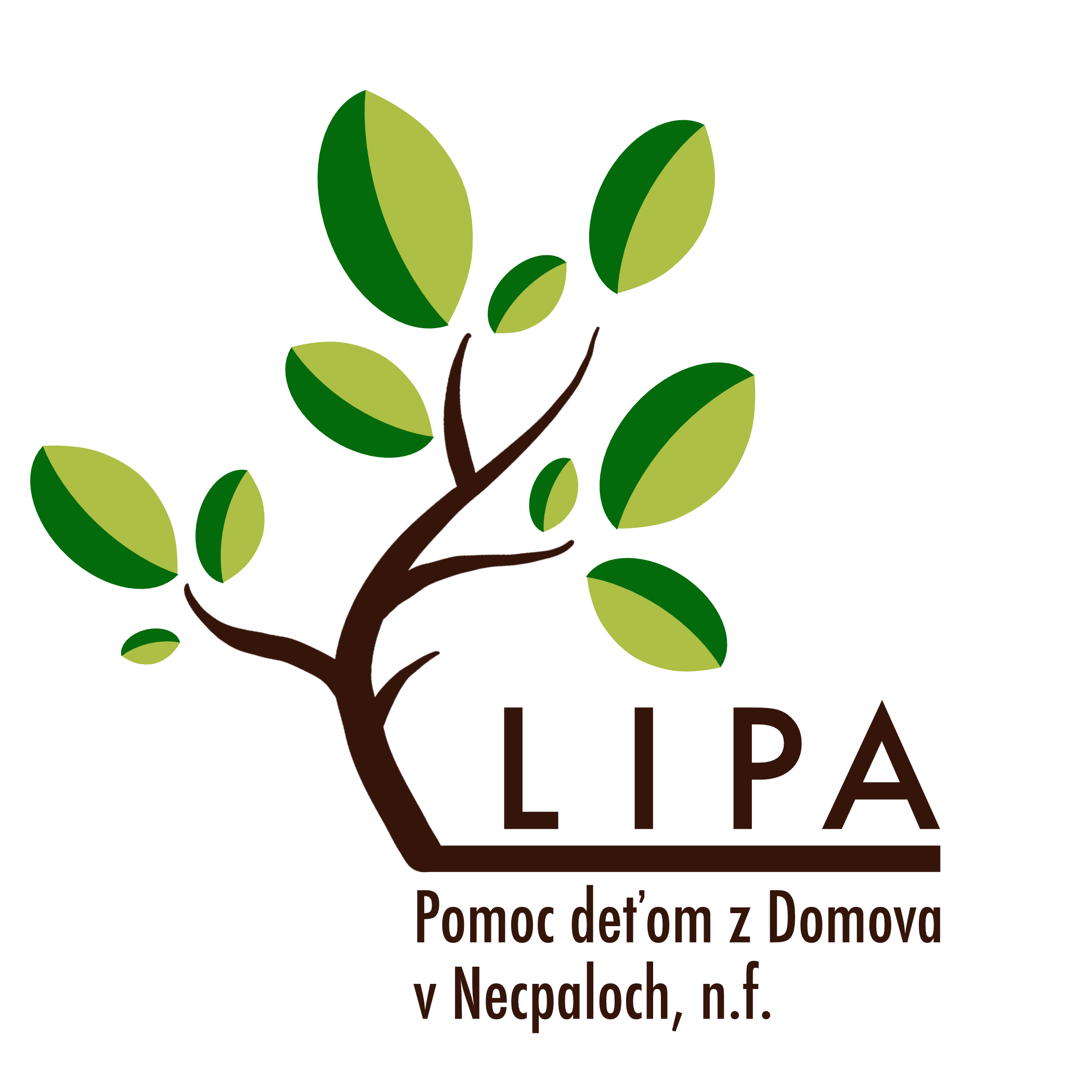 Logo 2% LIPA